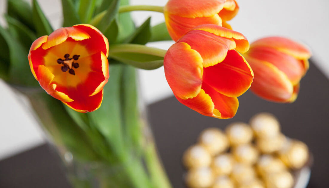 tulips-and-choc-display-shot